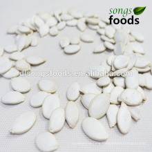 Organic Chinese Snow White Pumpkin Seeds